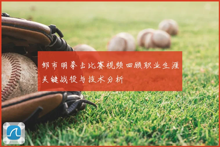 邹市明拳击比赛视频回顾职业生涯关键战役与技术分析