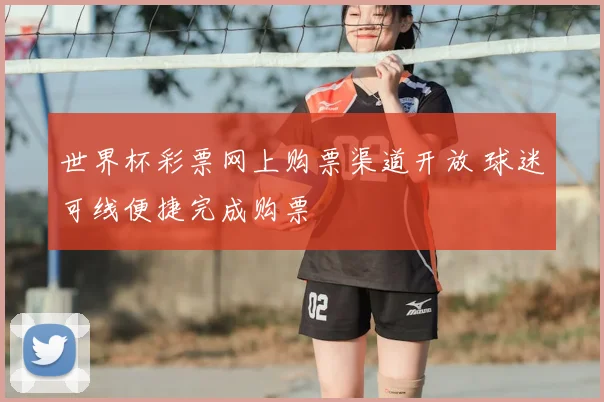 世界杯彩票网上购票渠道开放 球迷可线便捷完成购票