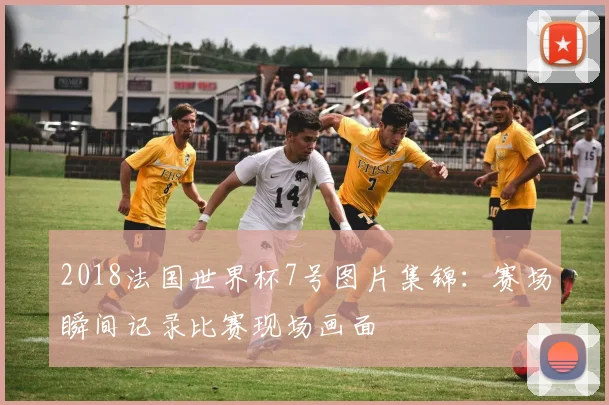 2018法国世界杯7号图片集锦:赛场瞬间记录比赛现场画面