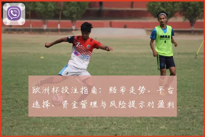欧洲杯投注指南：赔率走势、平台选择、资金管理与风险提示对盈利影响