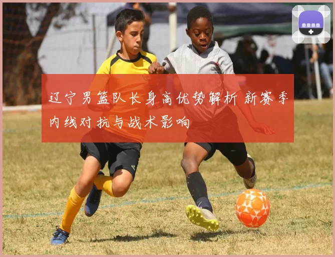 辽宁男篮队长身高优势解析 新赛季内线对抗与战术影响