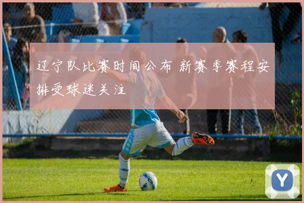 辽宁队比赛时间公布 新赛季赛程安排受球迷关注
