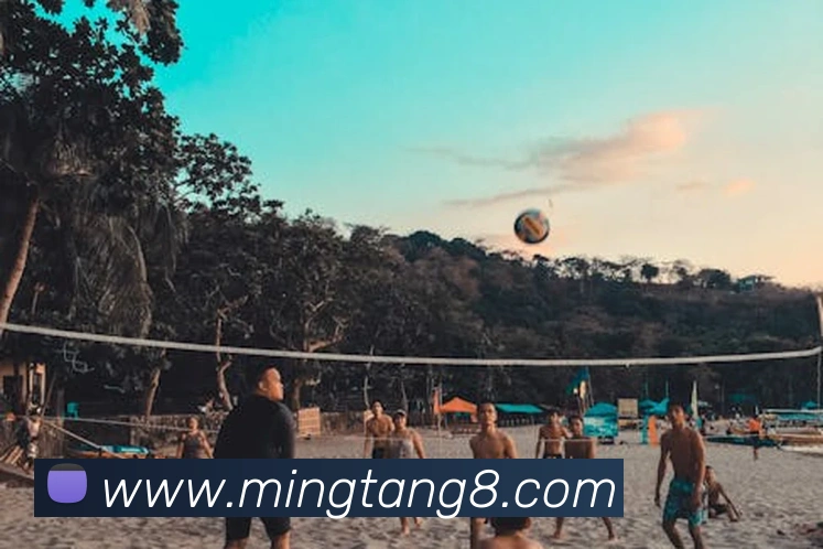 九游体育app官网登录入口平台生态图